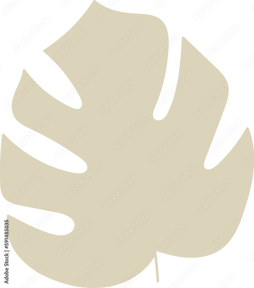 Tropical Tree Leaf Tropical Tree Leaf