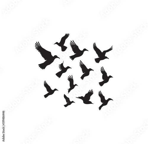  A flock of birds silhouette illustration.