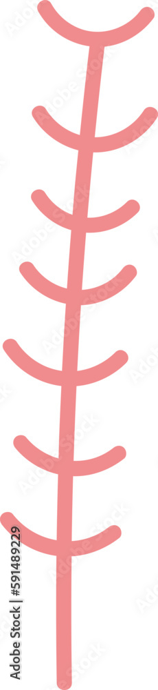 Obraz premium Branch Of Seaweed