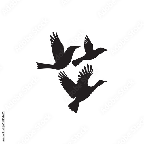  Three nice flying birds silhouette vector art.