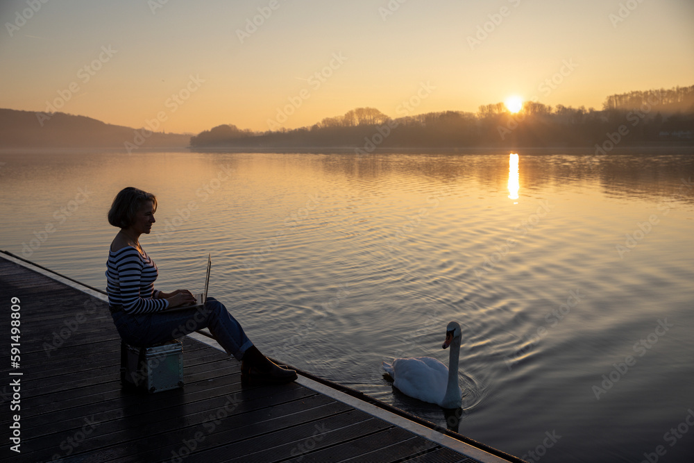 Freelancer working on laptop by swan swimming in lake at morning Freelancer working on laptop by swan swimming in lake at morning