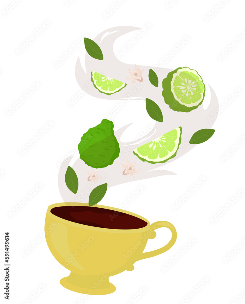 Bergamot and tea in a cup. Vector stock illustration. Fresh lime fruits, bergamot, citrus fruits and green tea leaves. a fragrant herbal drink. Isolated on a white background. Bergamot and tea in a cup. Vector stock illustration. Fresh lime fruits, bergamot, citrus fruits and green tea leaves. a fragrant herbal drink. Isolated on a white background.