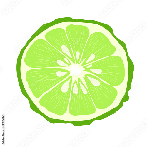 Bergamot Vector stock illustration. Green citrus fruit. For labels, packaging of Spa aroma oil tea. Bergamot fruit with cut in half isolated on white background. lime