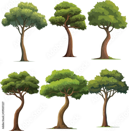 high-quality different variant tree collection vector illustration. isolated on white artboard