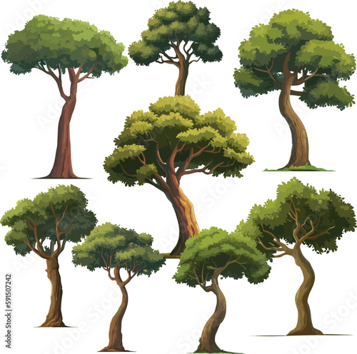high-quality different variant tree collection vector illustration. isolated on white artboard