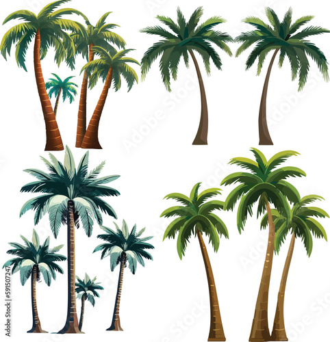 different variant palm tree collection vector illustration. isolated on a white artboard