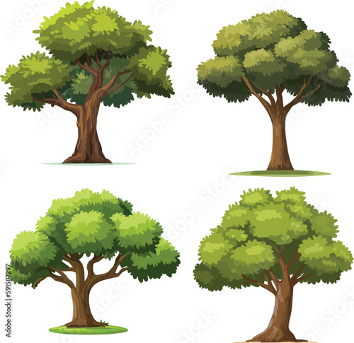 high-quality different variant tree collection vector illustration. isolated on white artboard