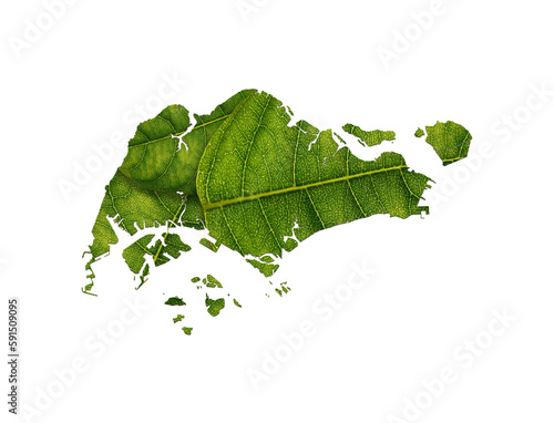 Canvas Print Singapore map made of green leaves on soil background ecology concept