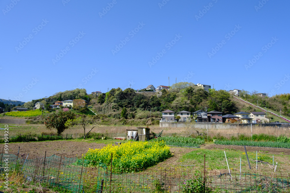 福井県敦賀市のパノラマ　リラポートからの眺望