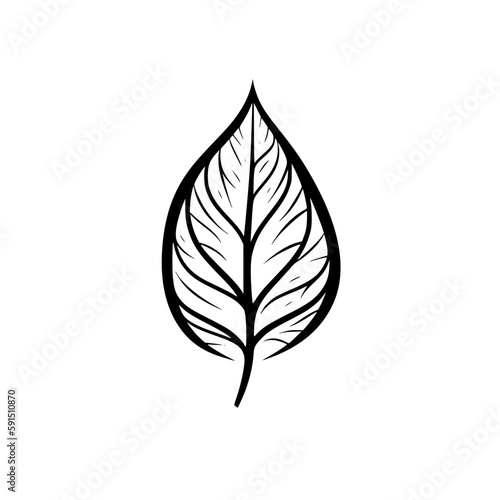 Leaf vector illustration isolated on transparent background