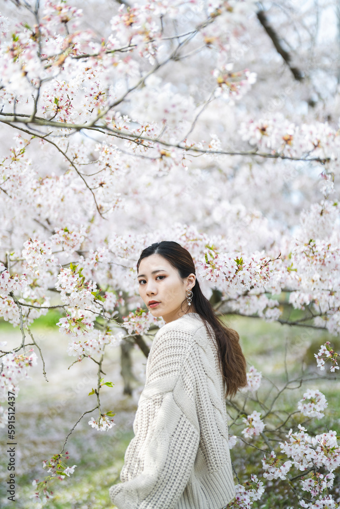 桜の花と女性