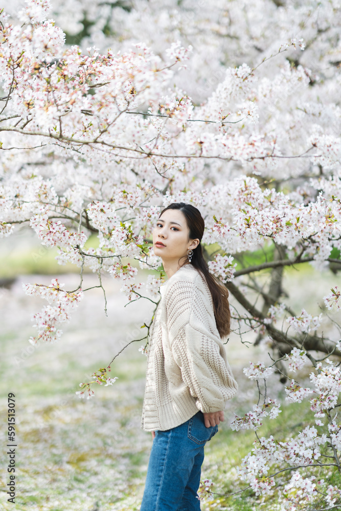 桜の花と女性