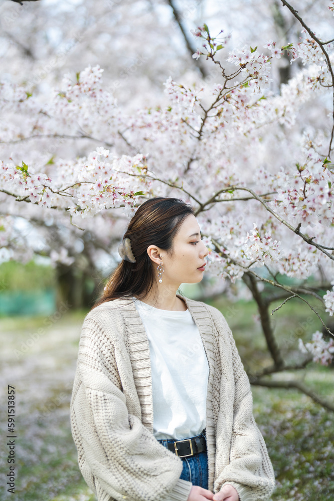 桜の花と女性
