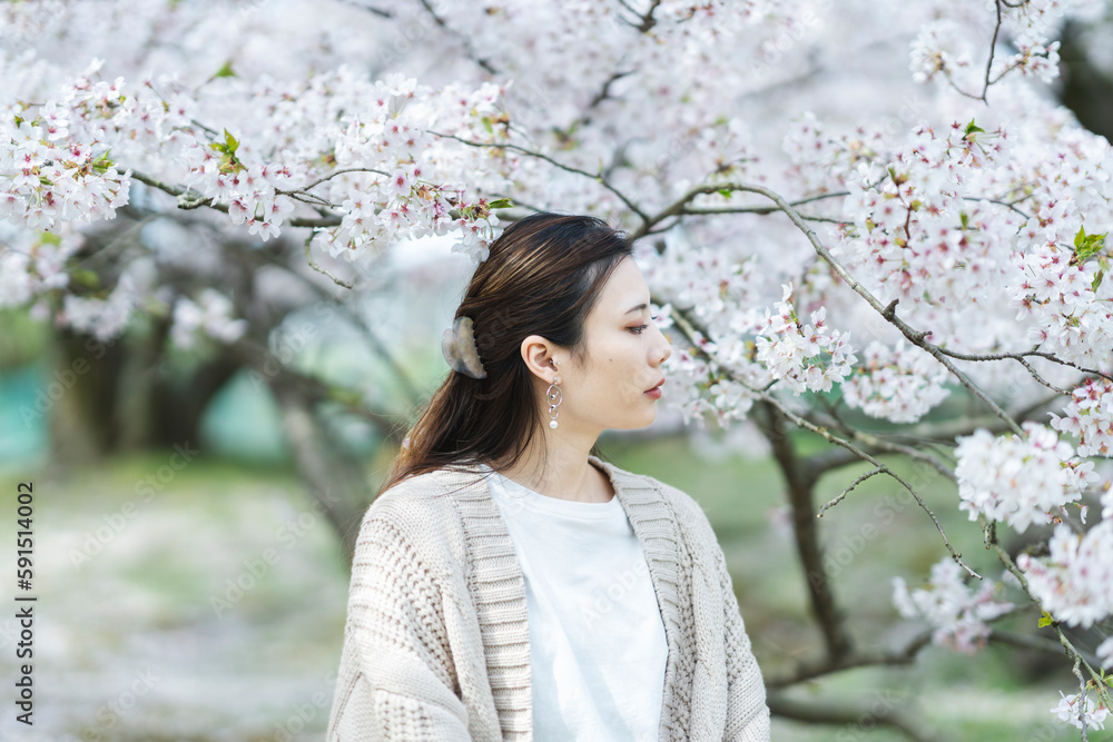 桜の花と女性 桜の花と女性
