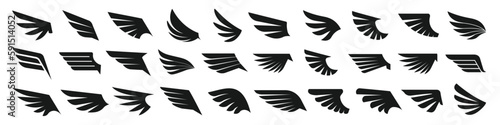 Wing vector. Wing icon set.