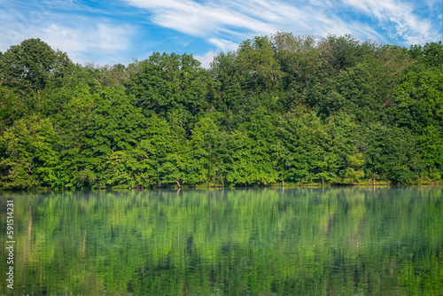 Trees filled with green leaves reflect into a lake