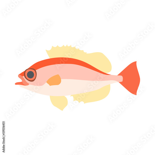 キントキダイ。フラットなベクターイラスト。
Red bigeye. Flat designed vector illustration.