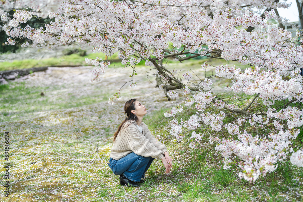 桜の花と女性 桜の花と女性