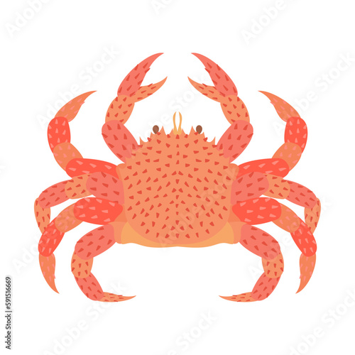 ケガニ。フラットなベクターイラスト。
Horsehair crab. Flat designed vector illustration.