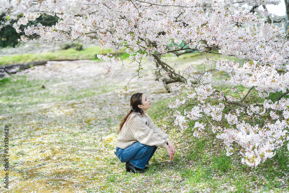 桜の花と女性 桜の花と女性