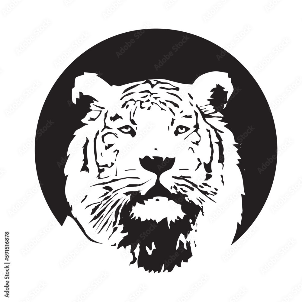 Obraz premium tiger, vector illustration 