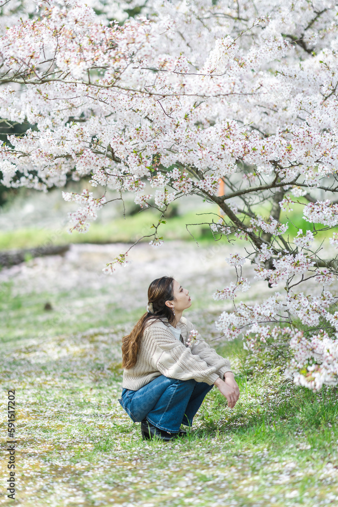 桜の花と女性