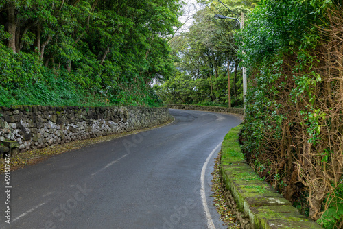 Terceira Island Landscape. Beautiful Green Terceira Island Landscape. Azores Archipelago, in Atlantic Ocean, Portugal.