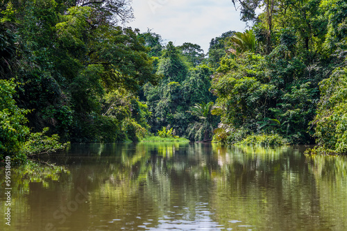 A view of reflections down a tributary of the Tortuguero River in Costa Rica during the dry season