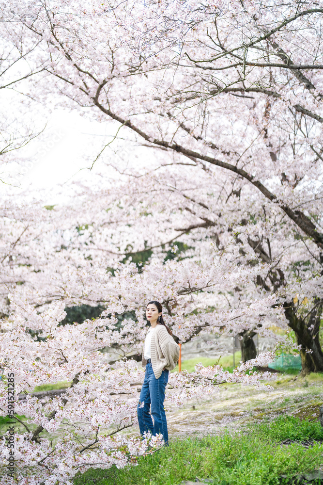 桜の花と女性