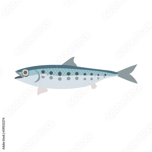 マイワシ。フラットなベクターイラスト。 Japanese sardine. Flat designed vector illustration.