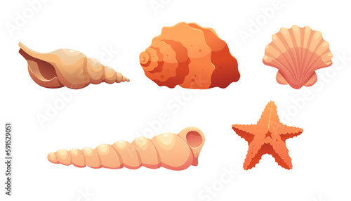 Set of Seashells and Starfish Isolated on White Background. Modern Minimalist Icon. Vector Illustration in Cartoon Style. 