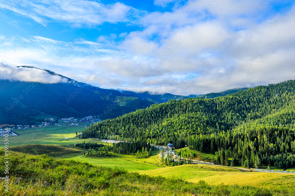 Green forest and mountain natural landscape in summer Green forest and mountain natural landscape in summer