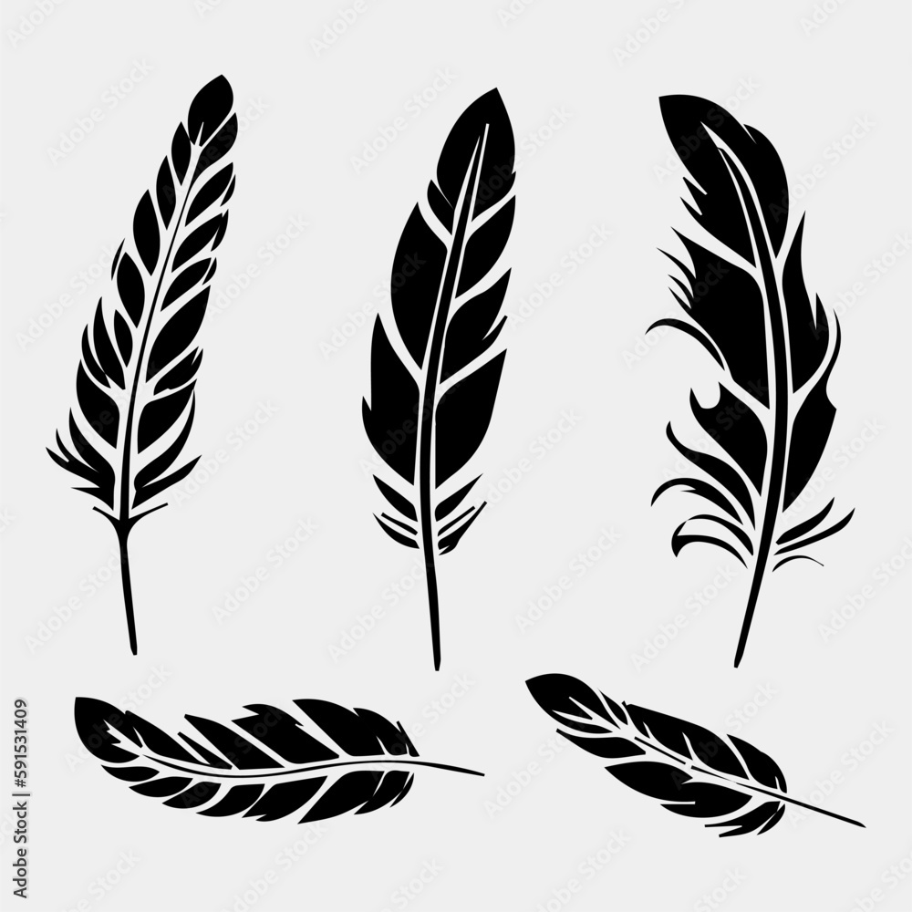 Obraz premium set of feathers vector design isolated on white