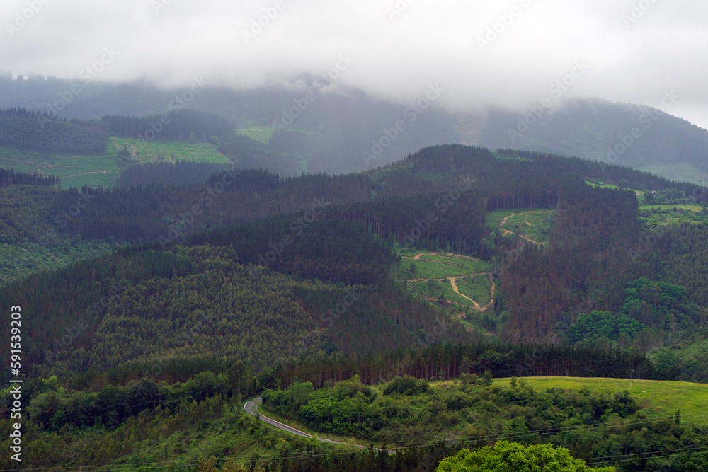 Fototapeta premium Green hills covered with forest low clouds, Basque Country, Spain