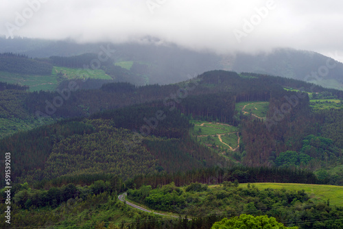 Green hills covered with forest low clouds, Basque Country, Spain