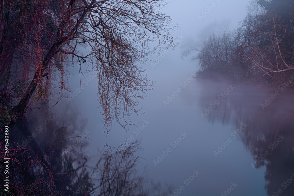 Misty river dawn