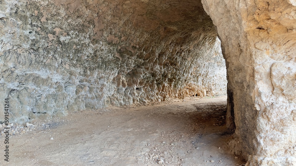 Obraz premium Old tunnel entrance with stone wall