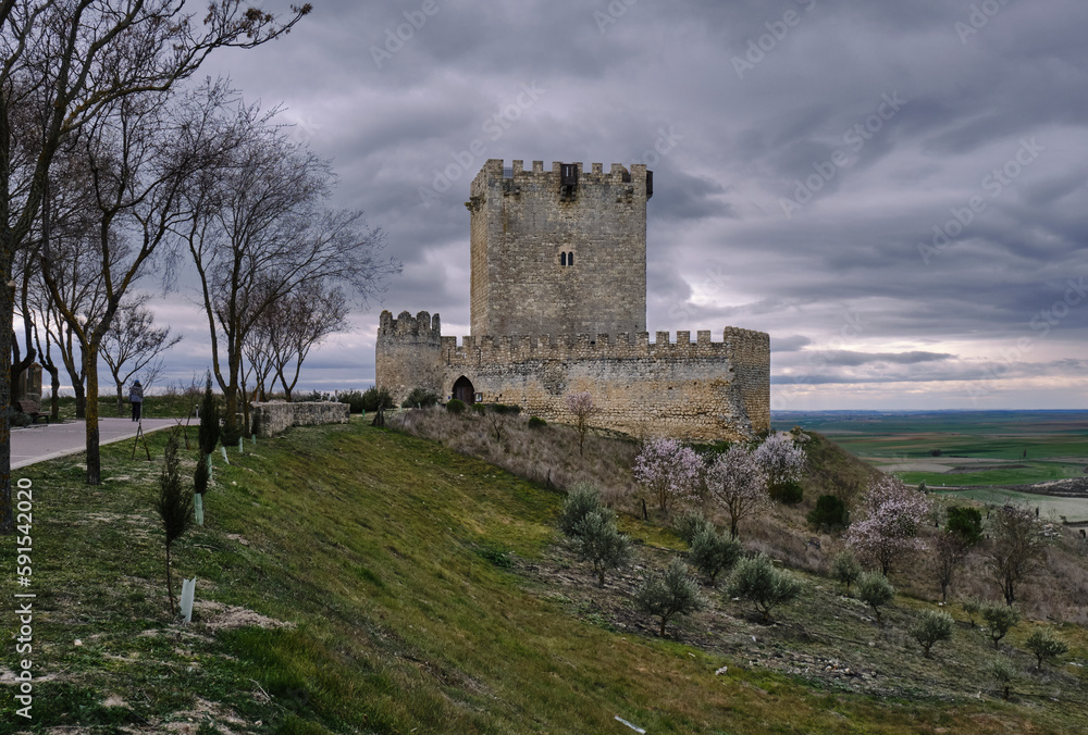  Castillo de Tiedra. y su torre del homenaje de planta rectangular y 20 metros de altura. 