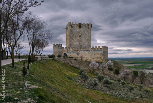  Castillo de Tiedra. y su torre del homenaje de planta rectangular y 20 metros de altura.  photo