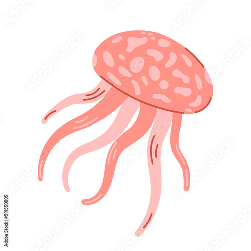 Pink medusa isolated on white background. Marine jellyfish with tentacles, aquatic underwater creature. Modern hand drawn flat illustration.