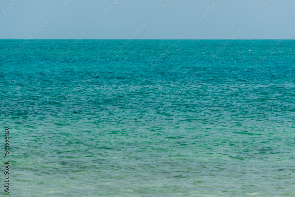 blue water background and white wooden trunk