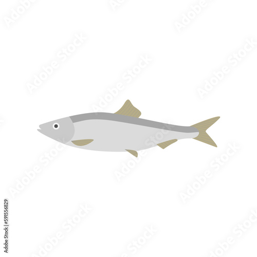 saltwater fish flat design vector illustration. fresh fish icon seafood logo. can be use for restaurant  fishing logo