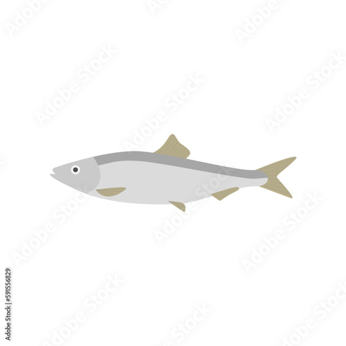 saltwater fish flat design vector illustration. fresh fish icon seafood logo. can be use for restaurant, fishing logo