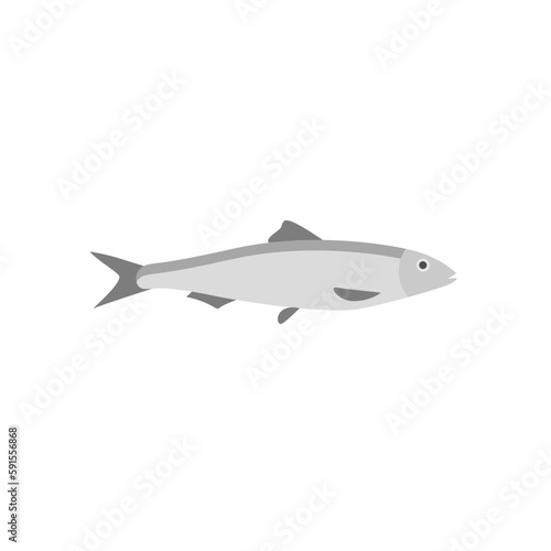 Fototapeta Naklejka Na Ścianę i Meble -  saltwater fish flat design vector illustration. fresh fish icon seafood logo. can be use for restaurant, fishing logo