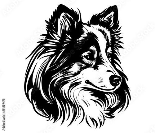 Shetland sheepdog, Shetland sheepdog Dog Face SVG, black and white Shetland sheepdog vector