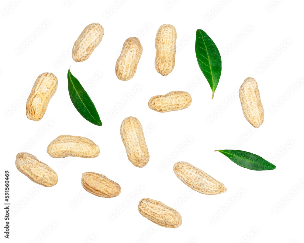 Peanuts isolated on a white background, top view Peanuts isolated on a white background, top view