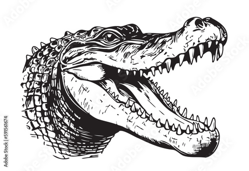 Crocodile head sketch hand drawn in doodle style illustration