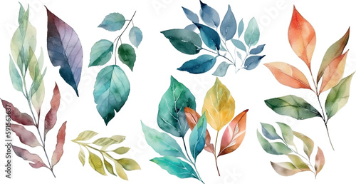 Vector Watercolor set of branches with colorful leaves, for wedding invitations, greetings, wallpapers, fashion, prints. Eucalyptus, olive green leaves.	