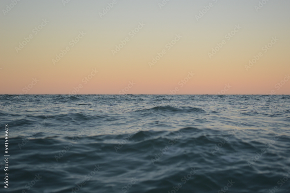 Fototapeta premium Watching over the waves 2