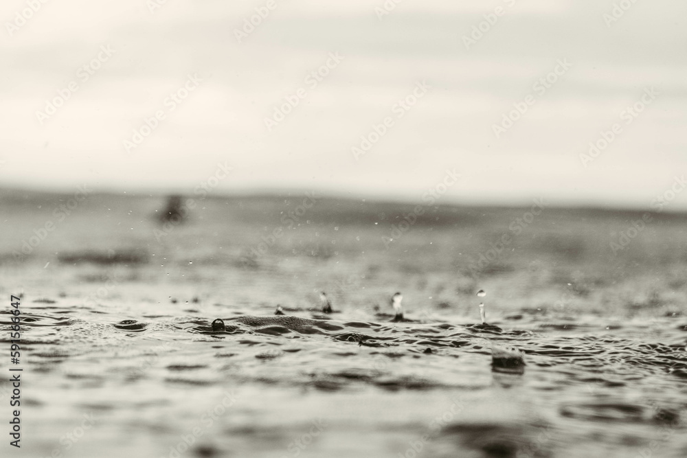 Lluvia Lluvia